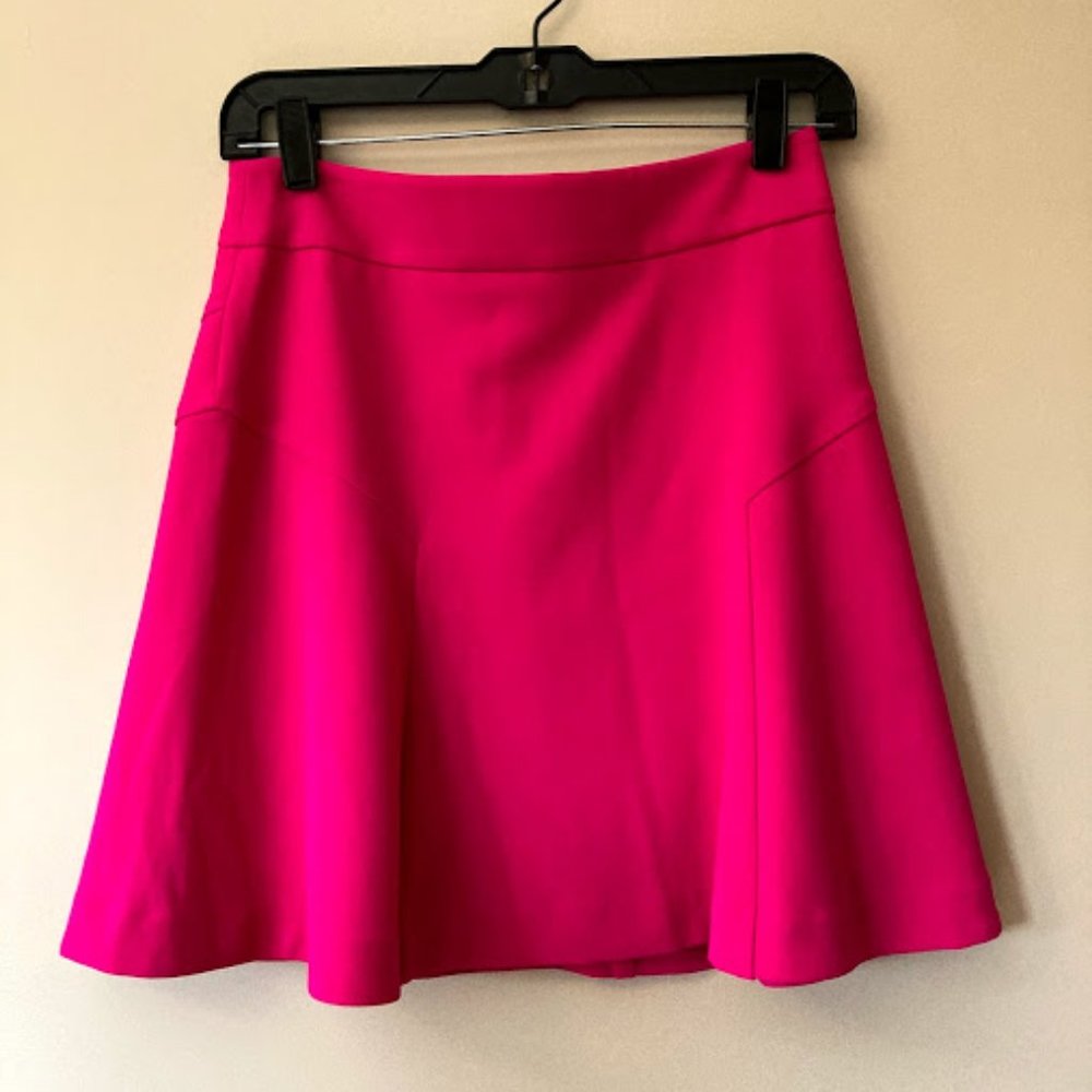 Express Skirt